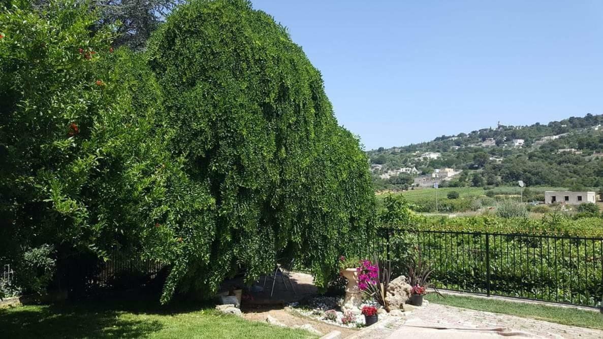 Villa Barone Selva Di Fasano Buitenkant foto