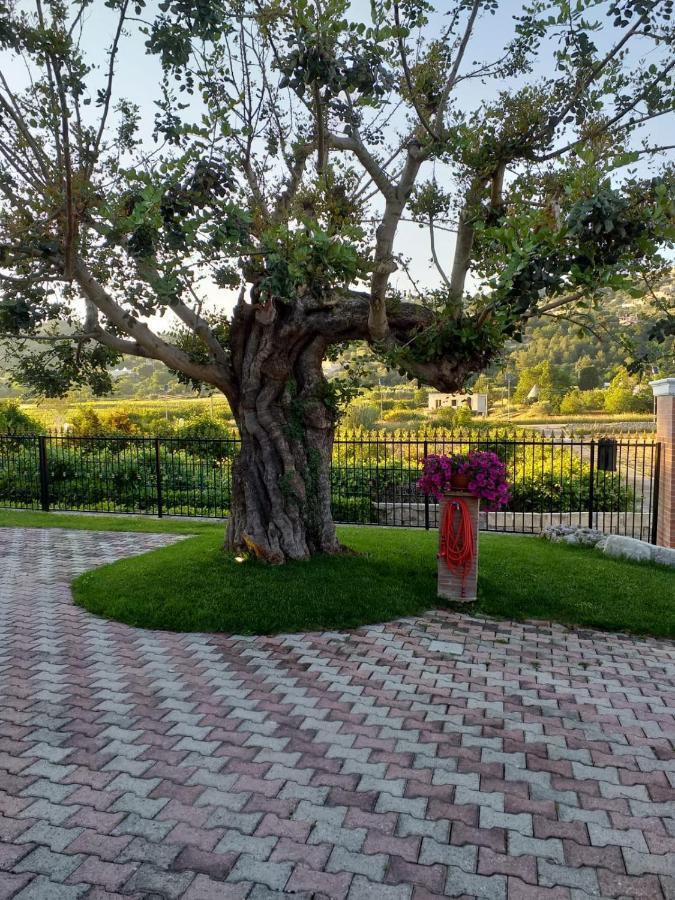 Villa Barone Selva Di Fasano Buitenkant foto
